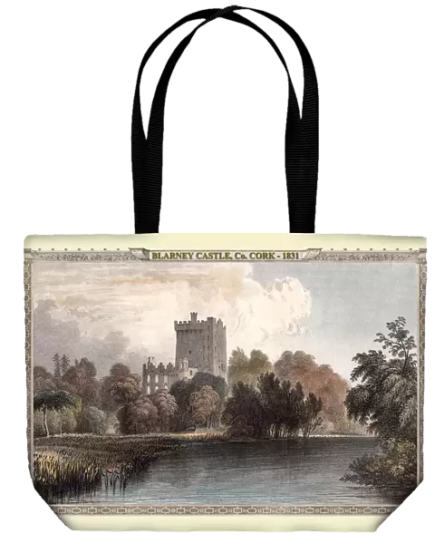 View of Blarney Castle, Ireland 1831