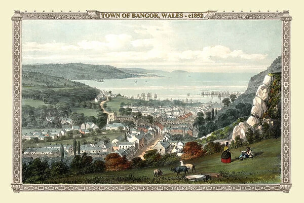 View of the Town of Bangor, Wales 1852 #20346983 Framed Photos