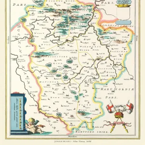 Old County Map of Bedfordshire 1648 by Johan Blaeu from the Atlas Novus