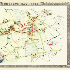 Old Map of the Village of Cheslyn Hay in Staffordshire 1884