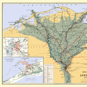 Special War Map of Lower Egypt