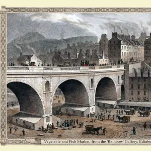 Vegetable and Fish Market, from the Rainbow Gallery. Edinburgh 1831