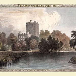Old Views and Vistas Collection: 19th & 18th Century Irish Views PORTFOLIO