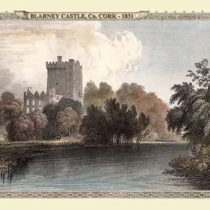 Old Views and Vistas Framed Print Collection: 19th & 18th Century Irish Views PORTFOLIO