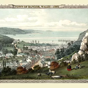 Old Views and Vistas Collection: 19th & 18th Century Welsh Views PORTFOLIO