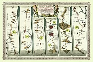 John Ogilby Gallery: Old Road Strip Map (PLATE 11) The Continuation of the Road from London to the City of Bristol