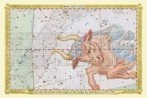 Images Dated 5th August 2022: Signs of the Zodiac in Early Color by John Bevis ÔÇô Taurus ÔÇô April 21 ÔÇô May 20
